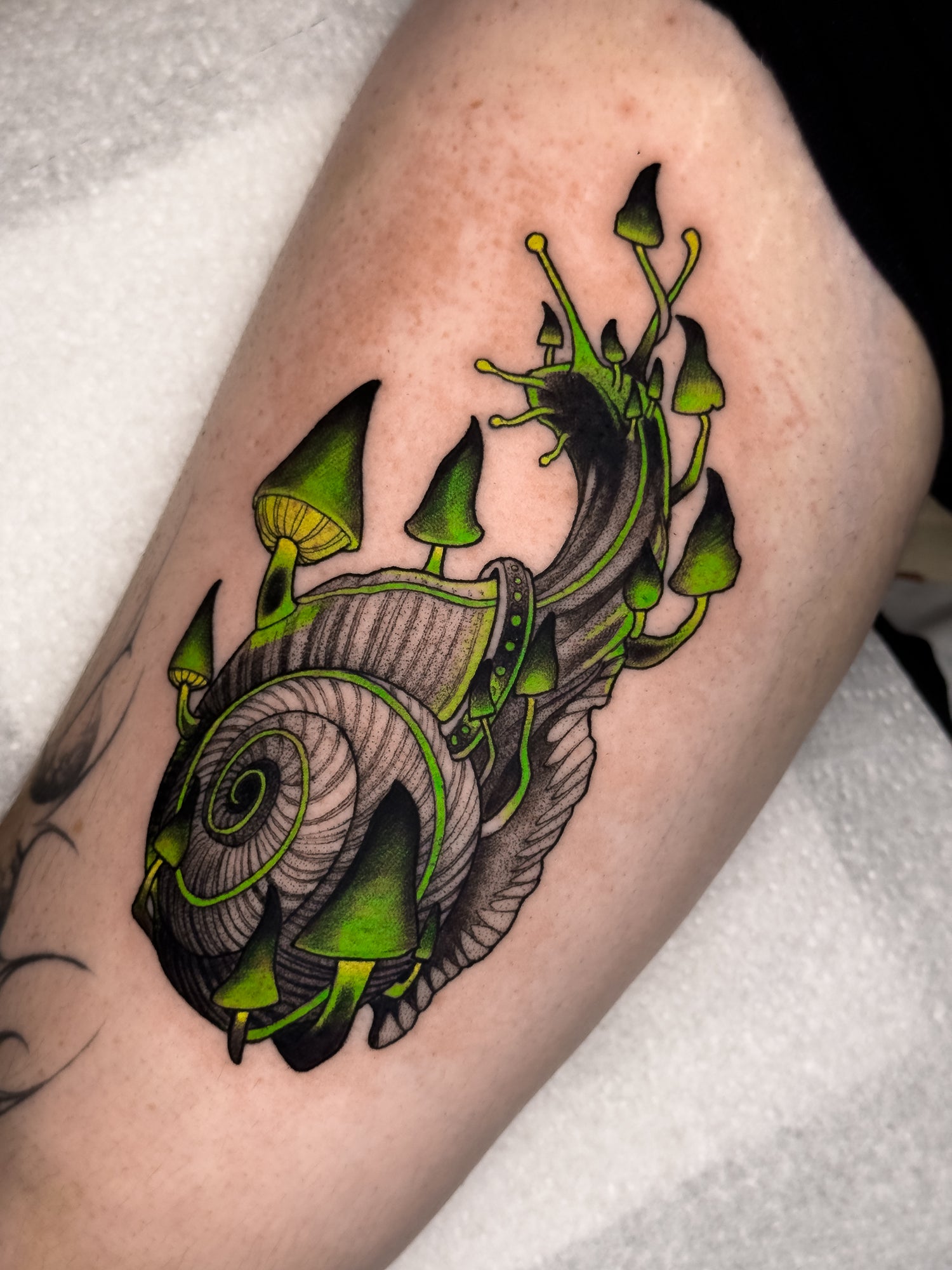 a snail with mushrooms on its back with neon green glow
