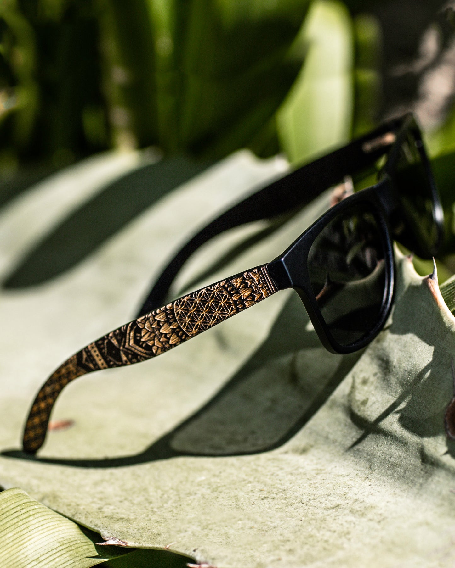 Solstice Sunlglasses